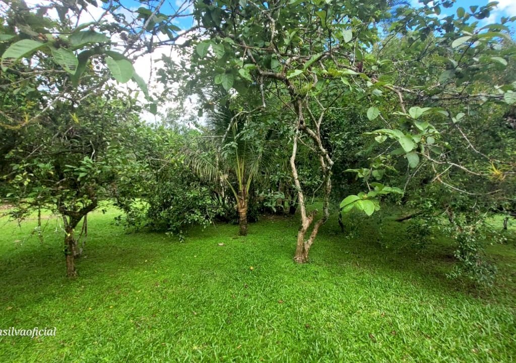 Imagem imóvel Chacaras/Sitios em Itanhaém com 3 dormitórios