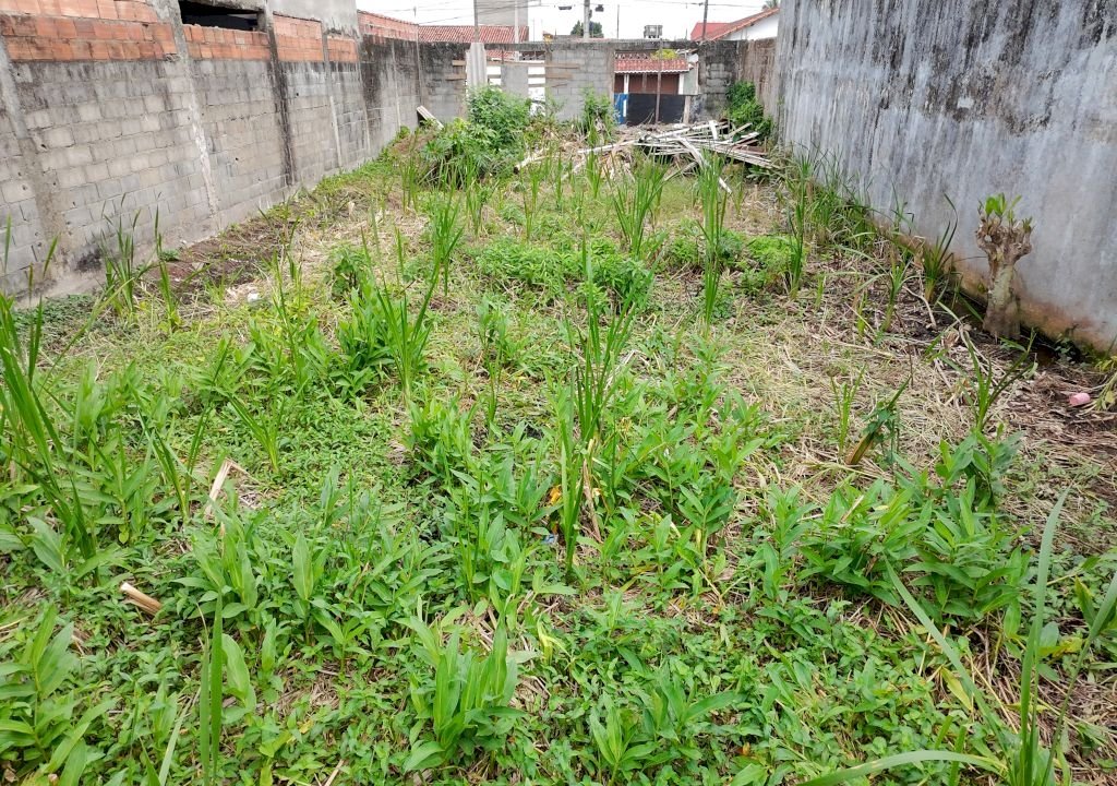 Imagem imóvel Terreno em Itanhaém com ótima localização